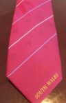 Holy Royal arch South Wales Province Tie